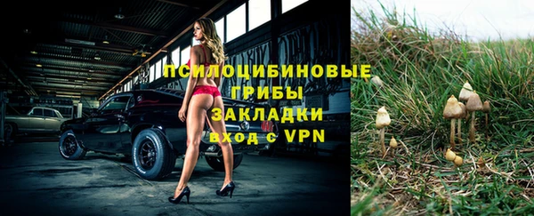 шишки Абинск