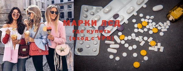 крисы Абаза