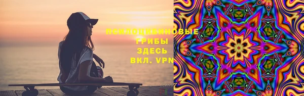 крисы Абаза